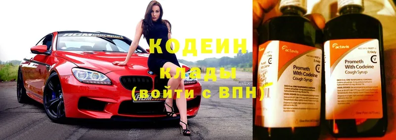 цены наркотик  Александровск  Кодеиновый сироп Lean Purple Drank 