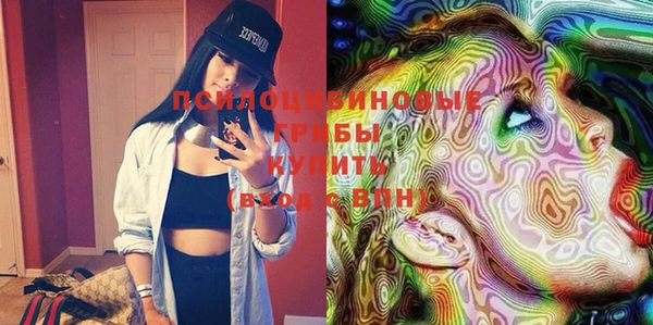 PSILOCYBIN Нязепетровск