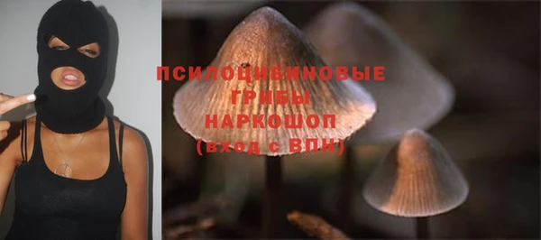 PSILOCYBIN Нязепетровск