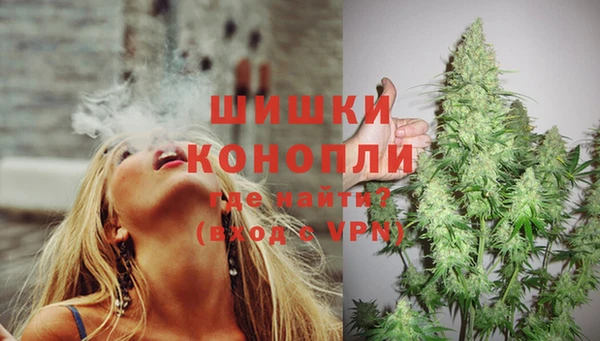 спиды Сосновоборск
