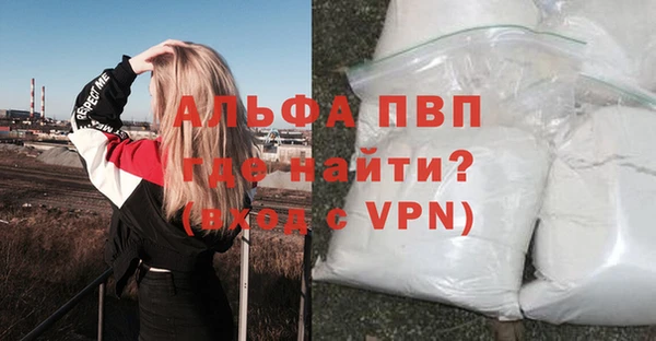 спиды Сосновоборск