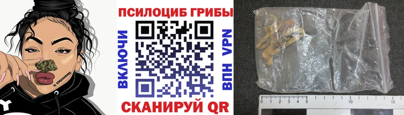 Псилоцибиновые грибы мицелий  Александровск 