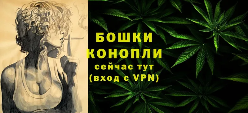 Конопля марихуана  Александровск 